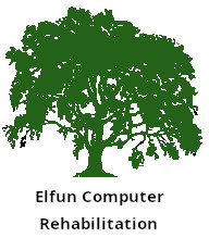 Elfun Logo